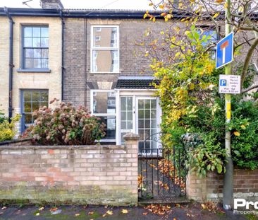 Trory Street, Norwich, NR2 2RH - Photo 6