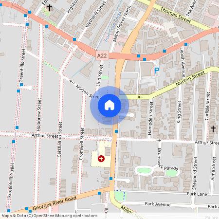 67 Milton Street, NSW 2131, Ashfield