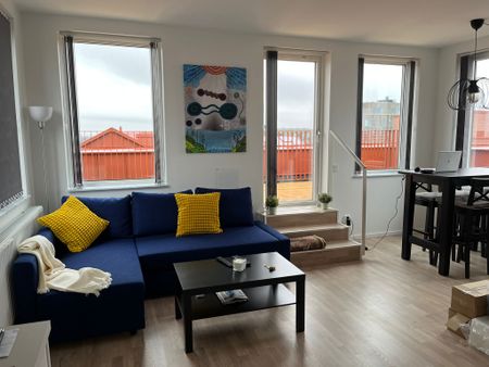 Neptunigatan, Malmö - Photo 2