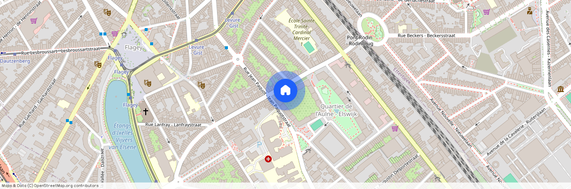 Avenue Auguste Rodin, 20, 1050, Ixelles