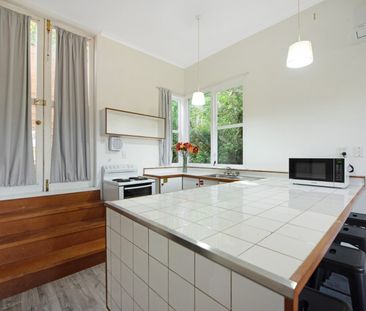 b/15 Mortimer Tce, Aro Valley - Photo 1