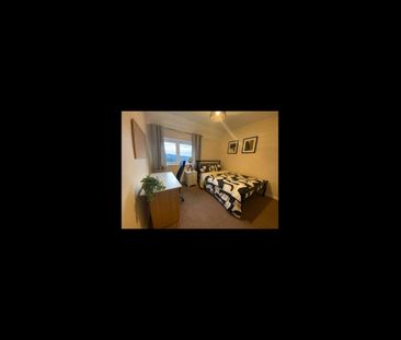 Room in a Shared House, Knepp Close, BN2 - Photo 5