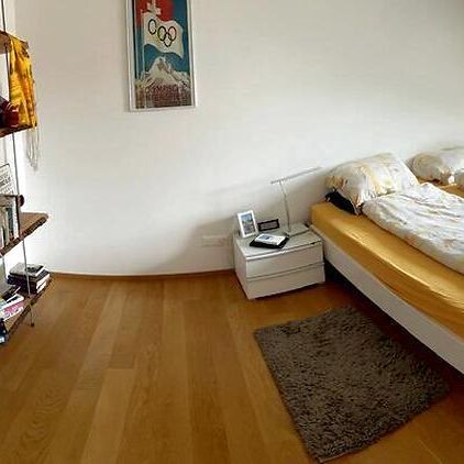 3½ Zimmer-Maisonettewohnung in Greifensee (ZH), möbliert, auf Zeit - Photo 1