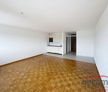 1.5 Zimmer, 38 m², 9. Stock - Foto 1