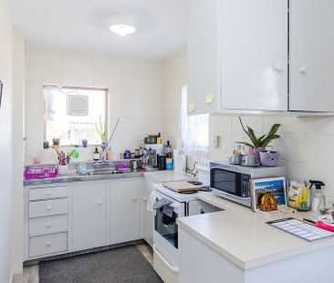Chic 1BR Apartment in Whitiora! - Photo 2