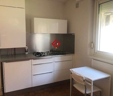Location Appartement 1 pièce 20m² GRENOBLE 38000 - Photo 3