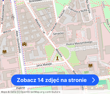 Przestronne, klimatyczne mieszkanie przy ul. Wiejskiej - Zdjęcie 1