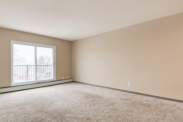 Renovated Suite - 1 Bedroom - Photo 1