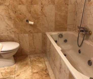 LARGE 4.5-ROOM QUITE IN FLORISSANT - Photo 4