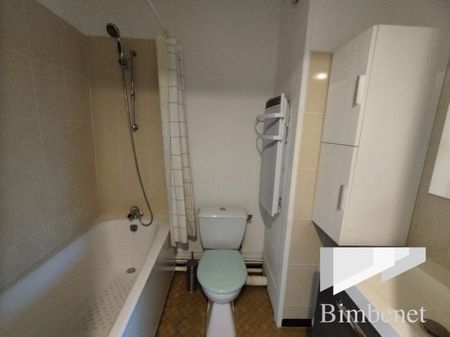 Appartement à louer, 1 pièce - Orléans 45100 - Photo 5