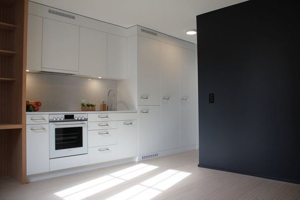 1.5 room apartment for rent in the heart of Chur’s old town! - Photo 1