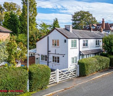 3 Bedroom Semi Detached To Let - Photo 3