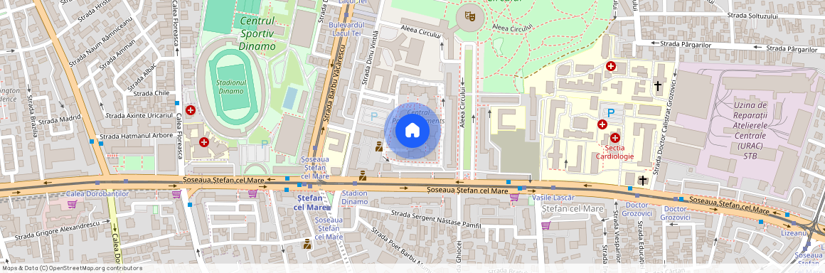 Stefan cel Mare, Bucuresti