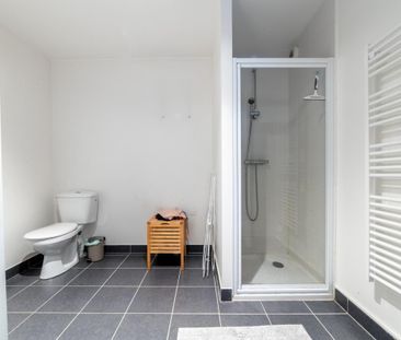 Location Appartement 1 pièce Meublé 26m² NANTES 44300 - Photo 4