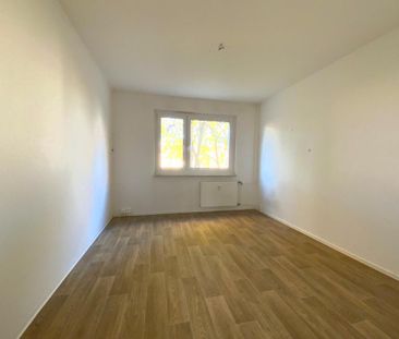 Sie suchen - wir haben! - Photo 1