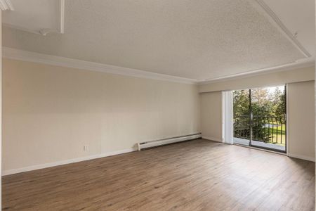 1 Bedroom - Renovated - Photo 3