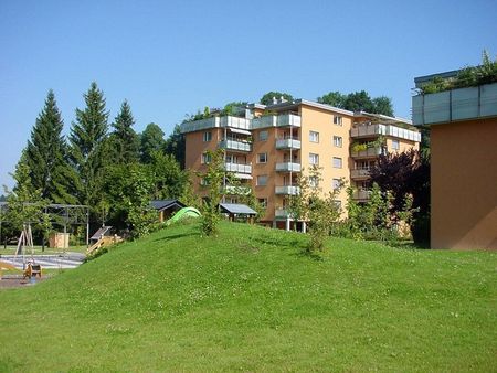 Grosse Wohnung im schönen Richterswil - Foto 3