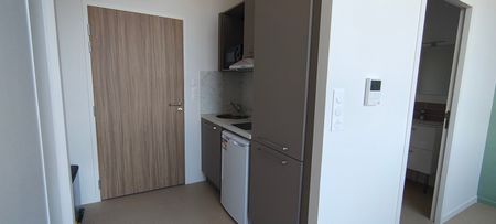 Location Appartement 1 pièce 19m² ALBI 81000 - Photo 4