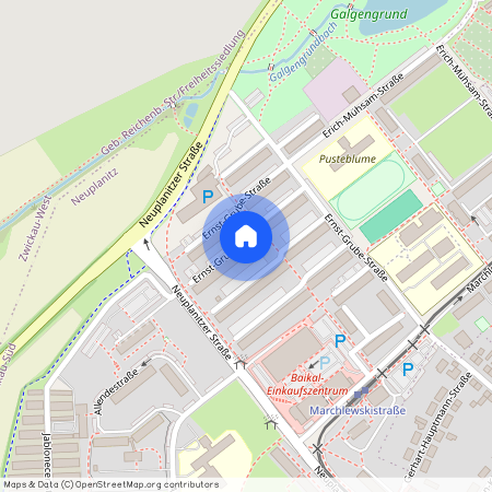 E.-Grube-Str. 179, Neuplanitz, 08062, Zwickau