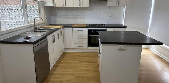 Pet & Family Focus - Photo 2