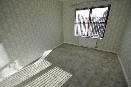 17 Musgrave Park Court, Belfast, BT9 7HZ - Photo 4