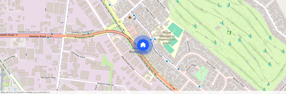 579B Maunganui Road, Mount Maunganui, Tauranga