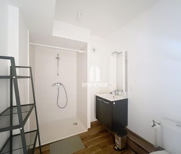 Location Appartement 1 pièce Meublé 21m² ILLKIRCH GRAFFENSTADEN 67400 - Photo 4