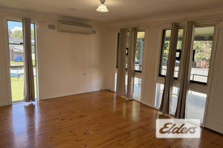 14 Peter Street - Photo 4