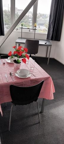 Central Auckland one bedroom apartment with pool! - Photo 3