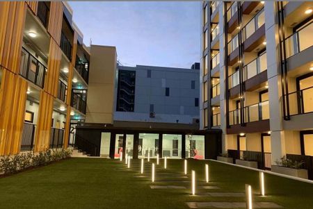 Near New One Bedroom Apartment in Central City - Photo 3