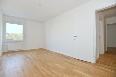 Vue lointaine de la chaîne de montagnes - Photo 4