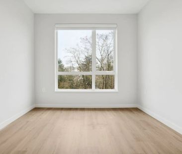 Avira — Cedar - C1 - Photo 2