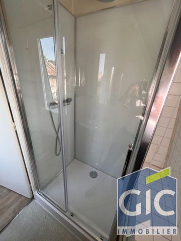 Location Appartement 1 pièce 29m² - Photo 4