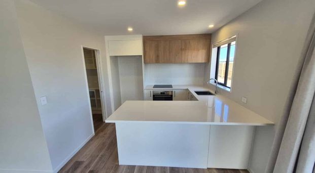 Modern, Spacious & Sun-Filled - Photo 1