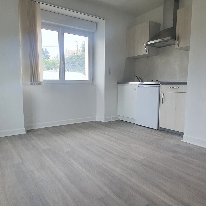 Location Appartement 2 pièces 36m² ST CHELY D APCHER 48200 - Photo 1