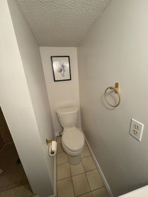 For Lease - 32 Plewes Road Unit# BASEMENT, Toronto, Ontario - Photo 1