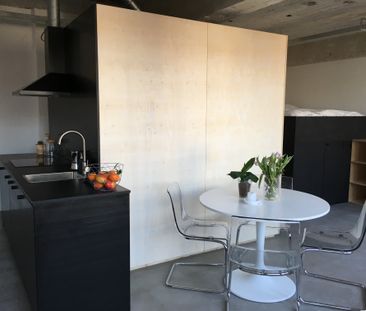 Te huur: Studio Professor Pieter Willemsstraat in Maastricht - Photo 6