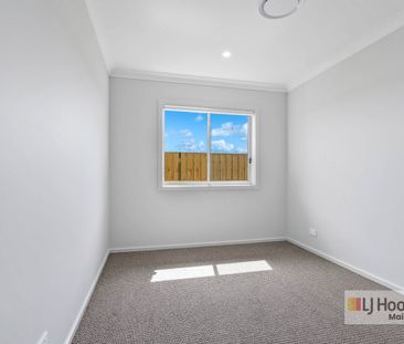 46 Cullami Street, Anambah, NSW 2320 - Photo 1