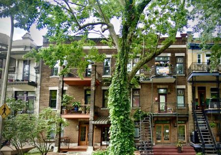 3982 av. Du Parc Lafontaine, #1 - Photo 4