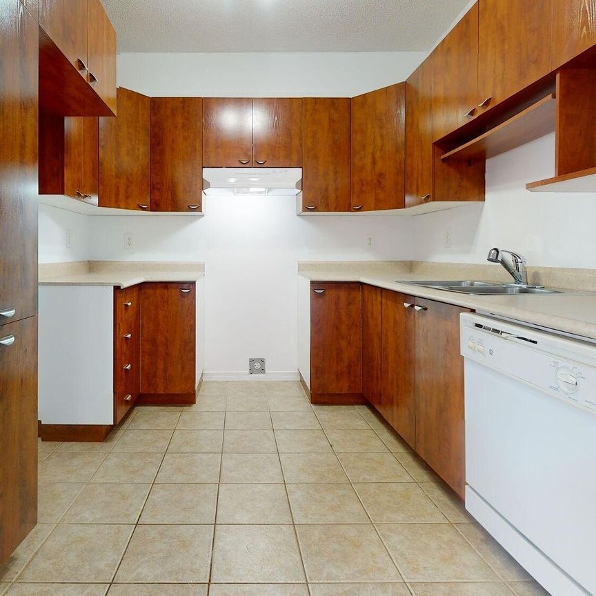 Apartments for Rent in central Gatineau a few minutes from Ottawa. - Photo 1