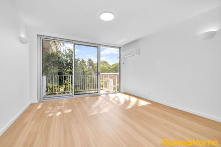 Renovated Sunny Top Floor - Photo 3