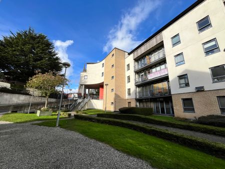 Metropolitan Apartments, Kilmainham, Dublin 8, D08 C567. - Photo 3