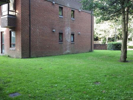 Studio Flat, Tremona Court, SO16 - Photo 4