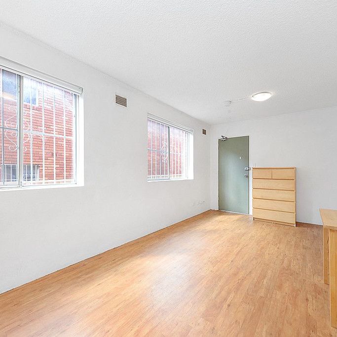 BRIGHT & SUNNY STUDIO - CLOSE TO THE UNSW & PRINCE OF WALES HOSPITAL - Photo 1