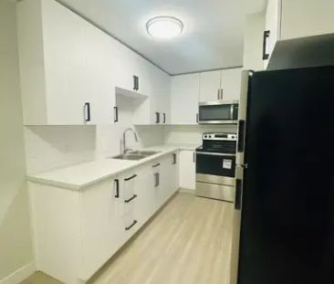 RENOVATED 2 Bedroom Apartment-All Inclusive with Internet | 249 Sev... - Photo 1
