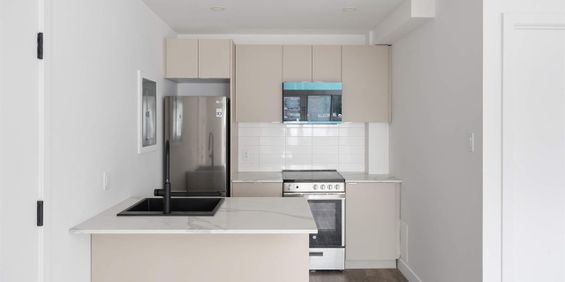 1 CH - 1 SDB - Montreal - $1,195 /mo - Photo 3