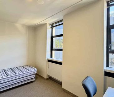 Heart of Wellington’s CBD - Photo 4