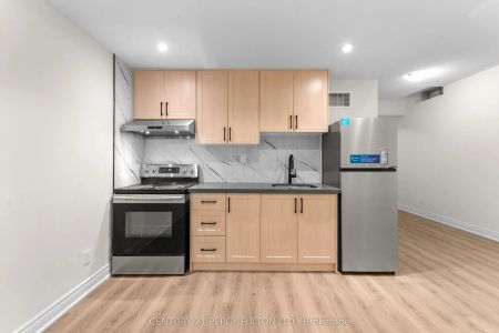 49 Christine Elliott Avenue #Basement apartment - Photo 3