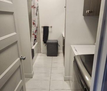 Beau 5 1/2 - Photo 4