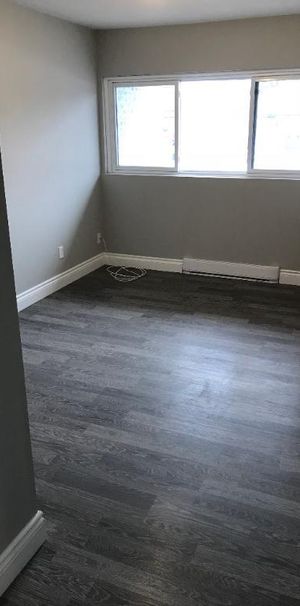 3 1/2 à louer - Photo 1